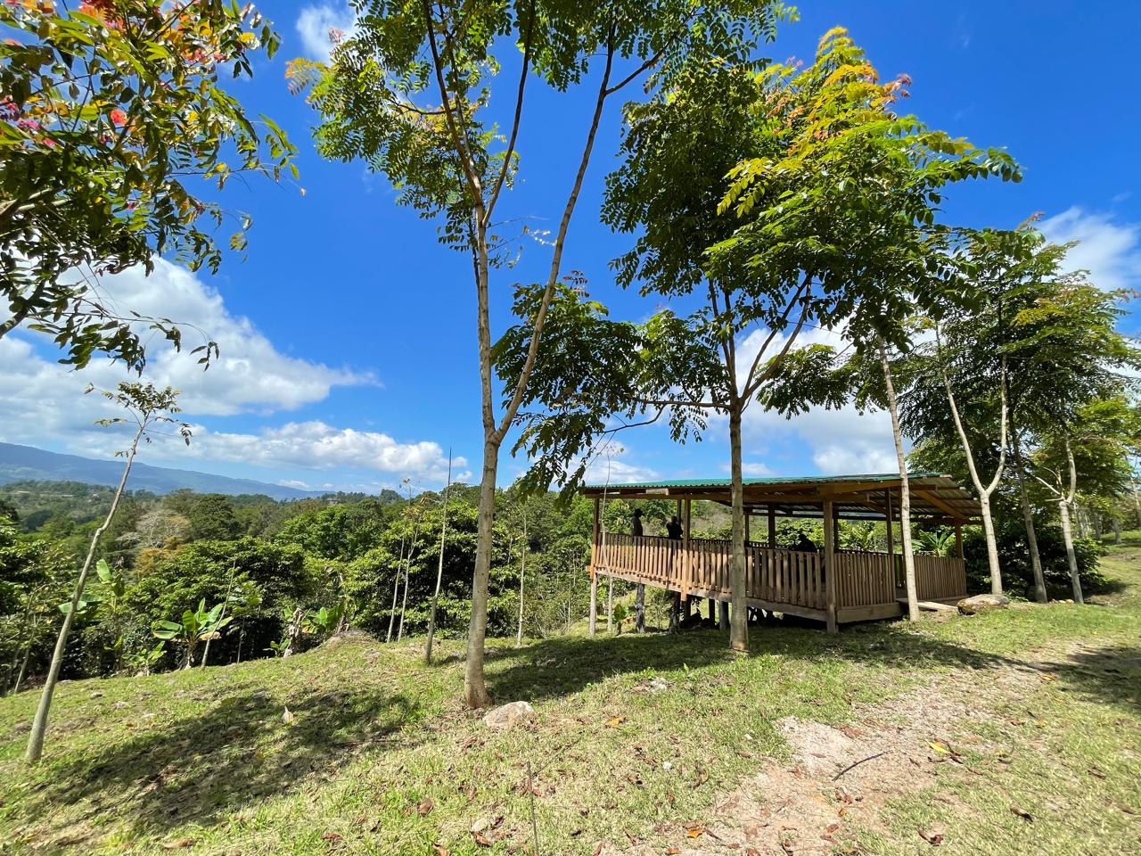 Finca 1 - Foto 1